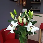 Hotel Mirabeau 2*