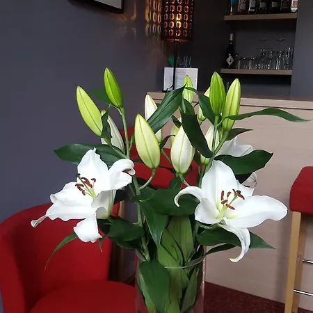 Hotel Mirabeau Tours