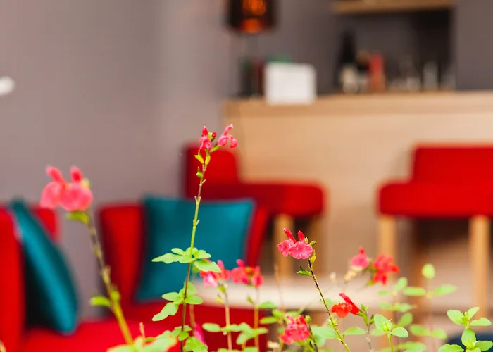 Mirabeau Hotel Tours